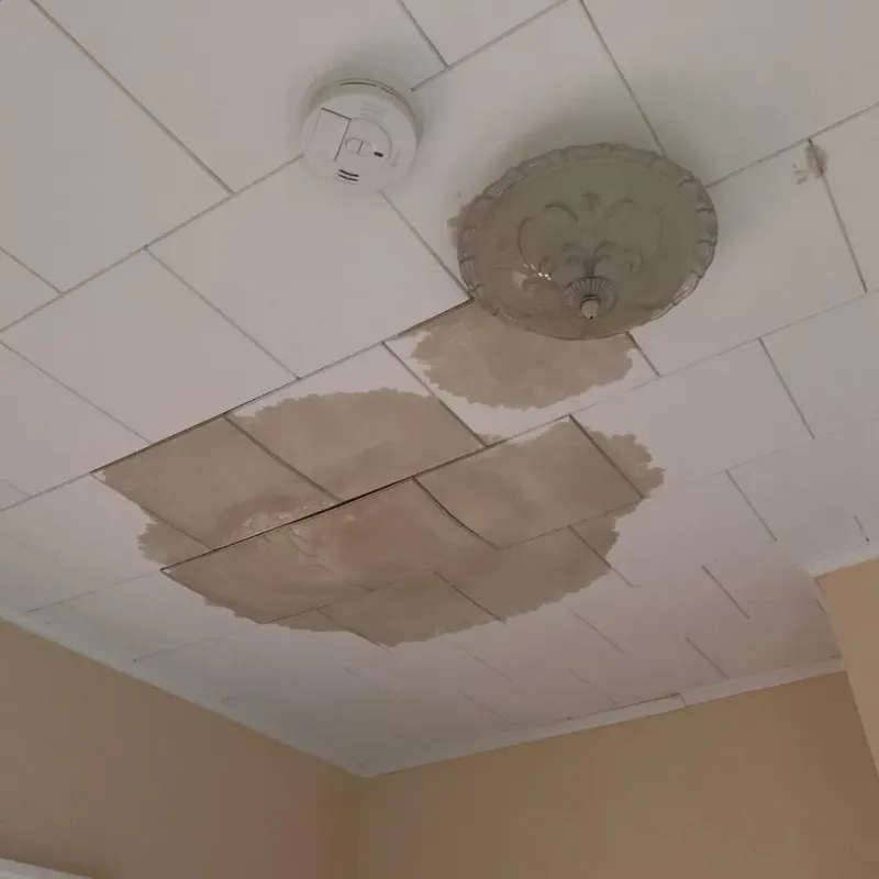 Ceiling Water Damage Repair in Wickliffe, OH