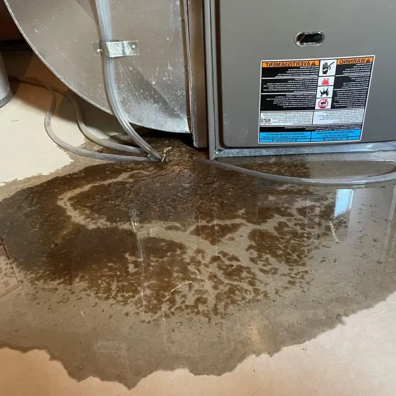 Pipe Burst and Leak Restoration in Wickliffe, OH